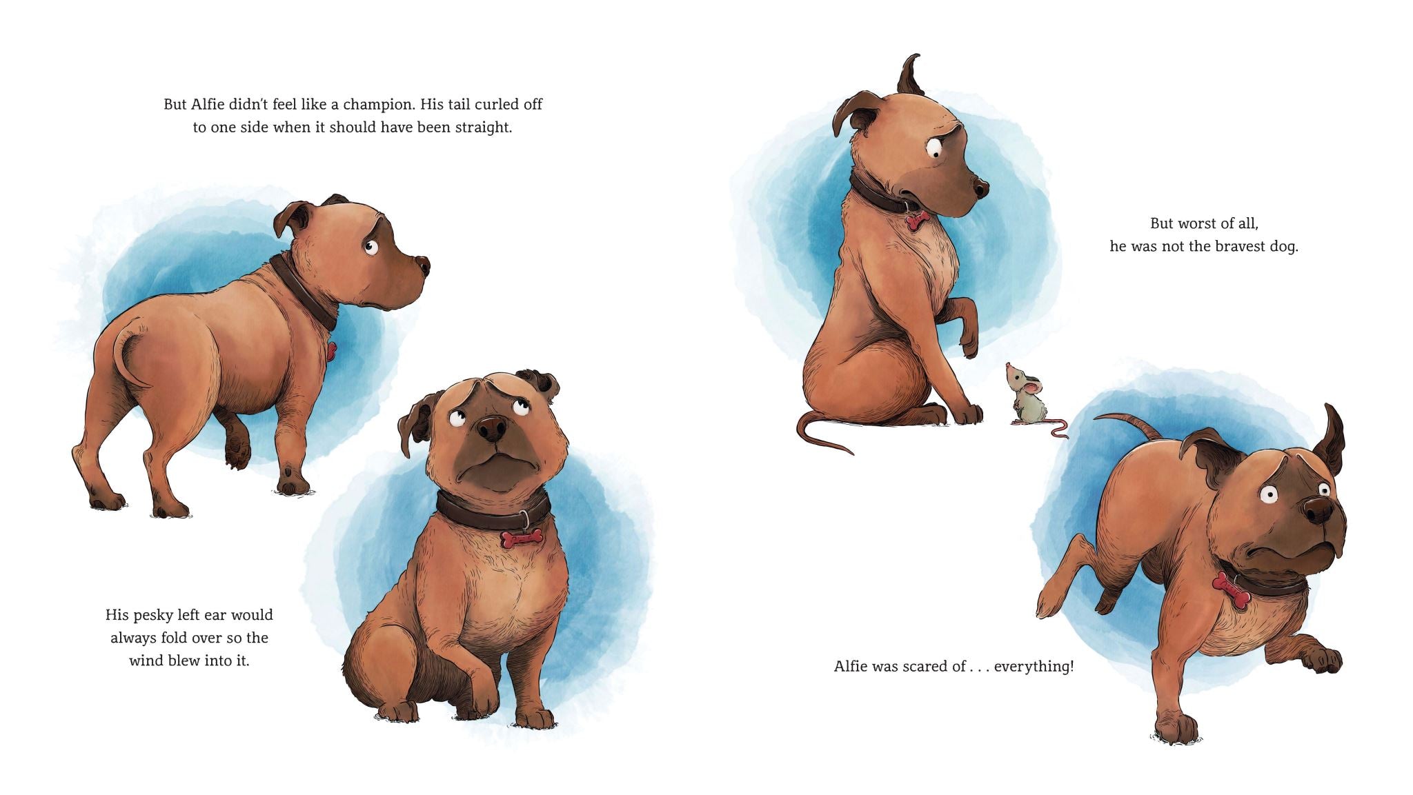 Alfie the Brave