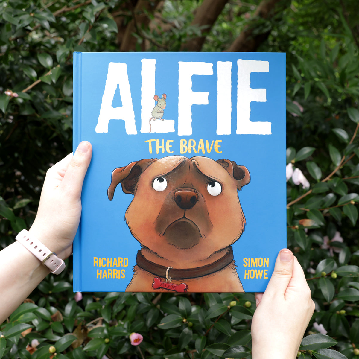 Alfie the Brave