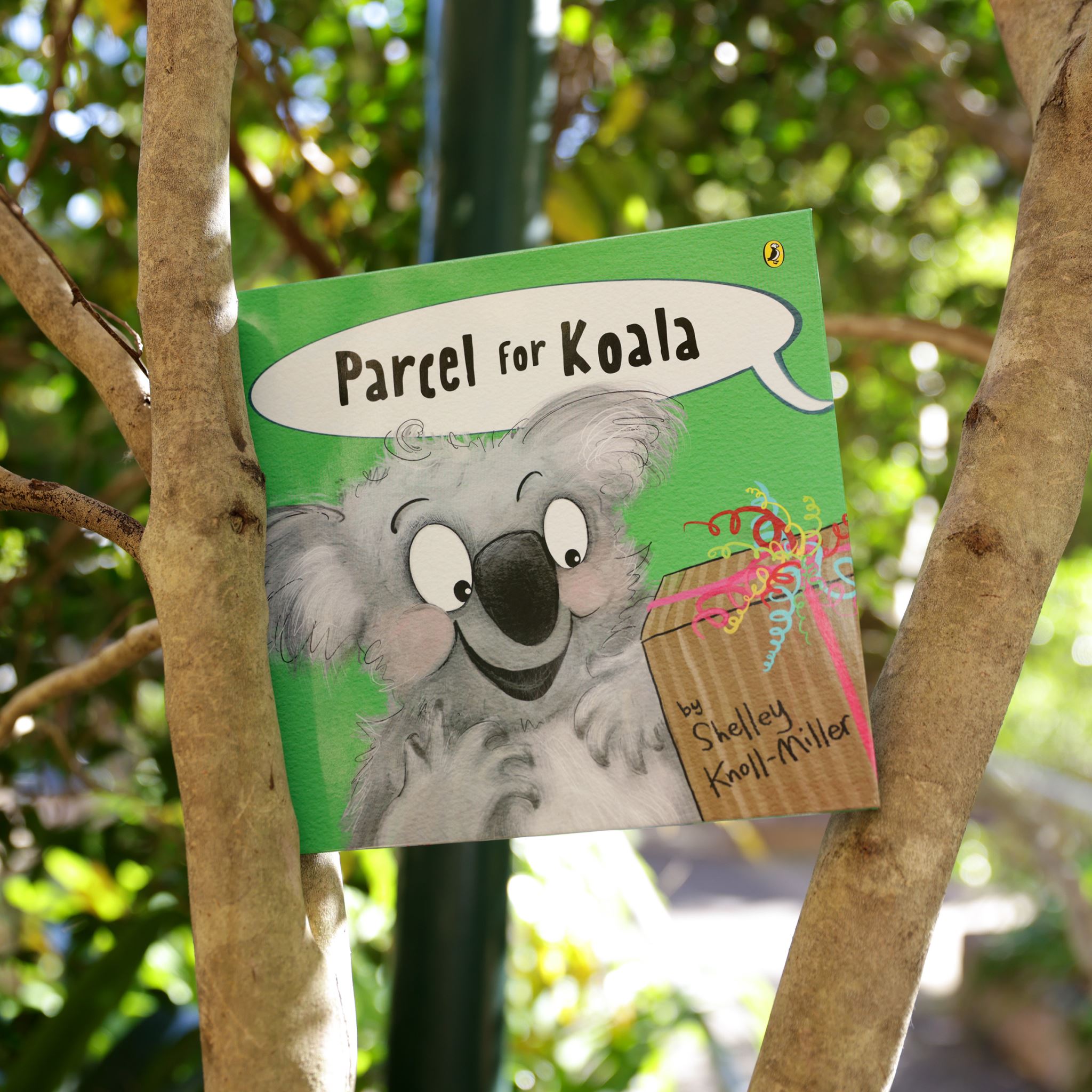 Parcel For Koala