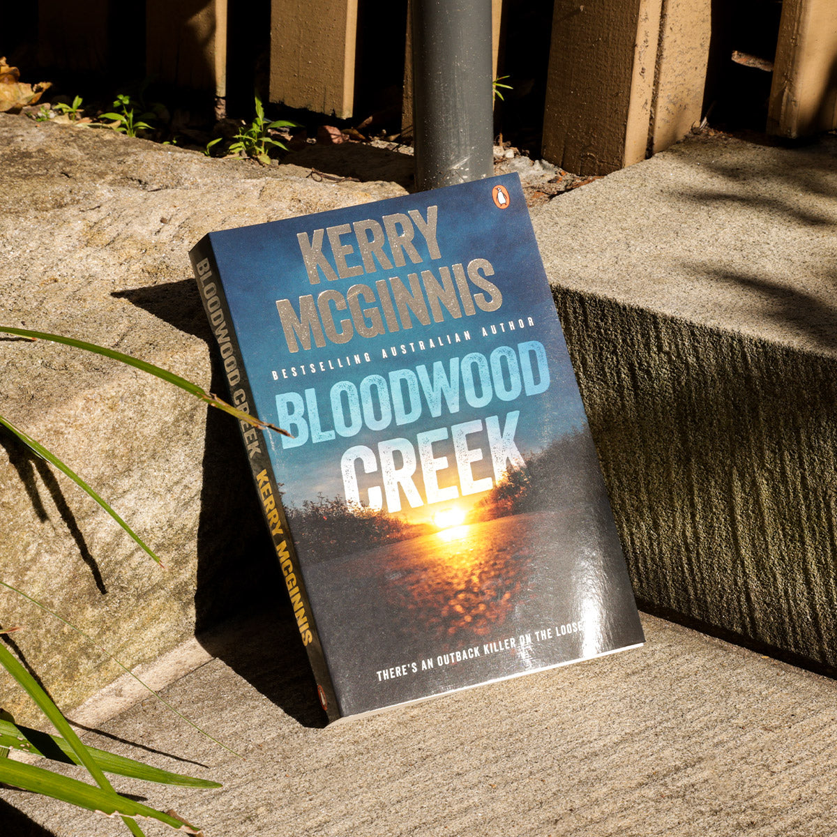 Bloodwood Creek