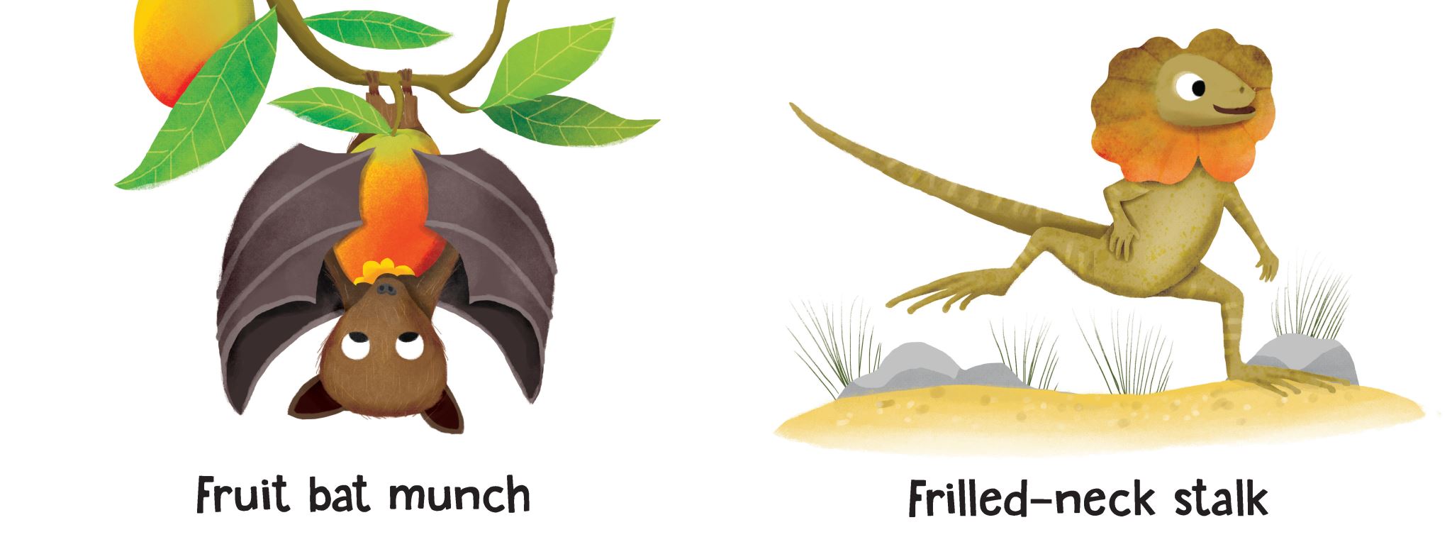 Taronga: Crocodile Snap!