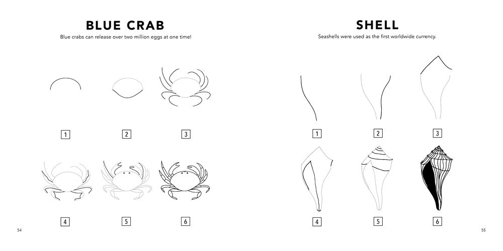 Under the Sea: How to Draw Books for Kids with Dolphins, Mermaids, and Ocean Ani