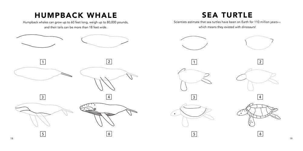 Under the Sea: How to Draw Books for Kids with Dolphins, Mermaids, and Ocean Ani