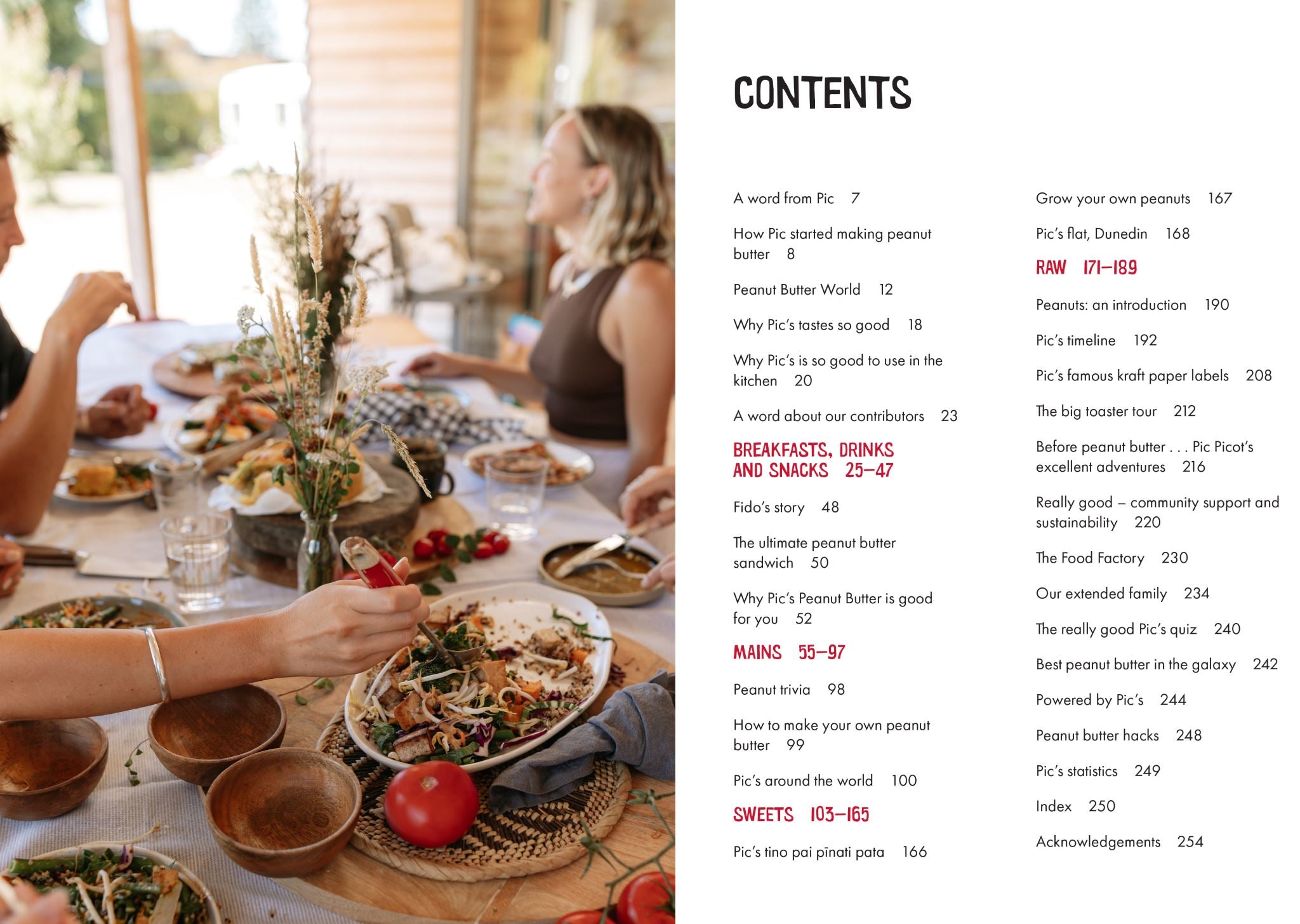 Pic's Really Good Recipe Book