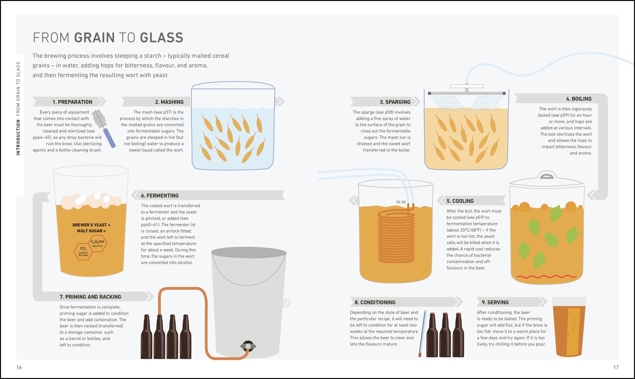 Home Brew Beer