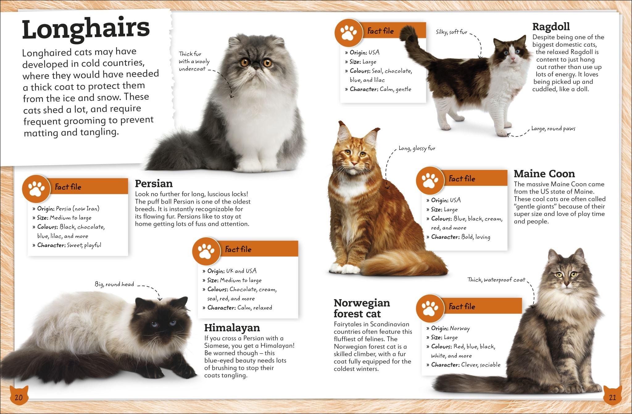 My Book of Cats and Kittens