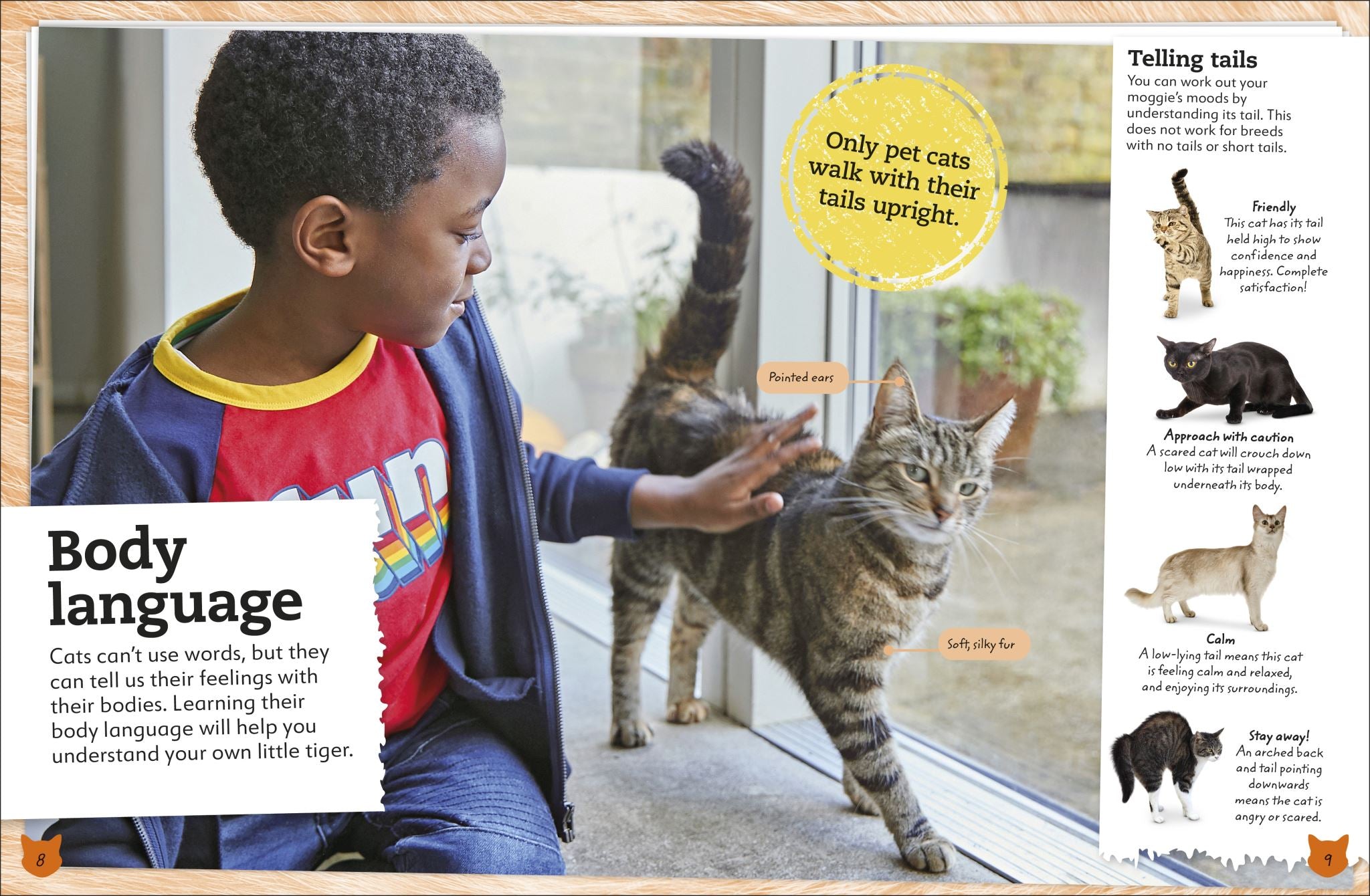 My Book of Cats and Kittens