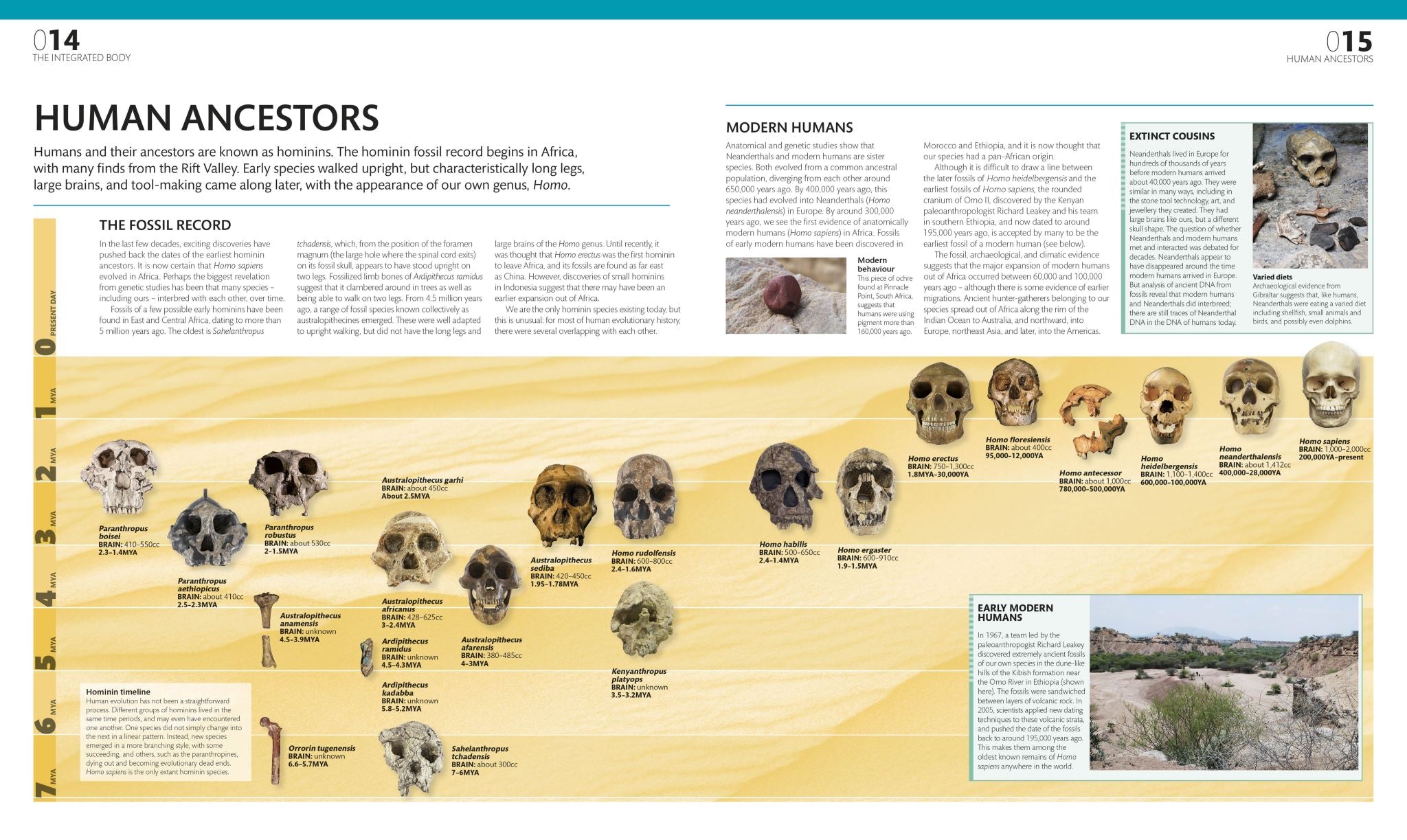 The Complete Human Body