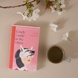 Lonely Castle in the Mirror