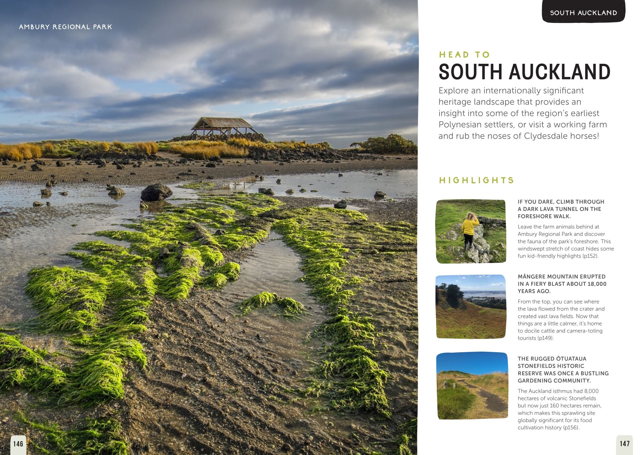 Kid-friendly Adventures Auckland