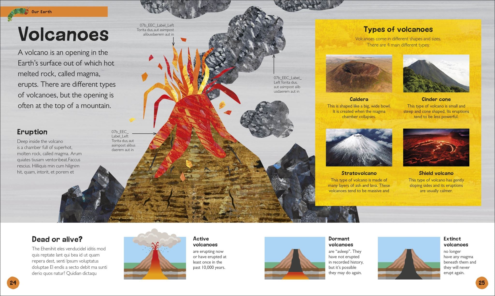 The Very Hungry Caterpillar's Very First Earth Encyclopedia