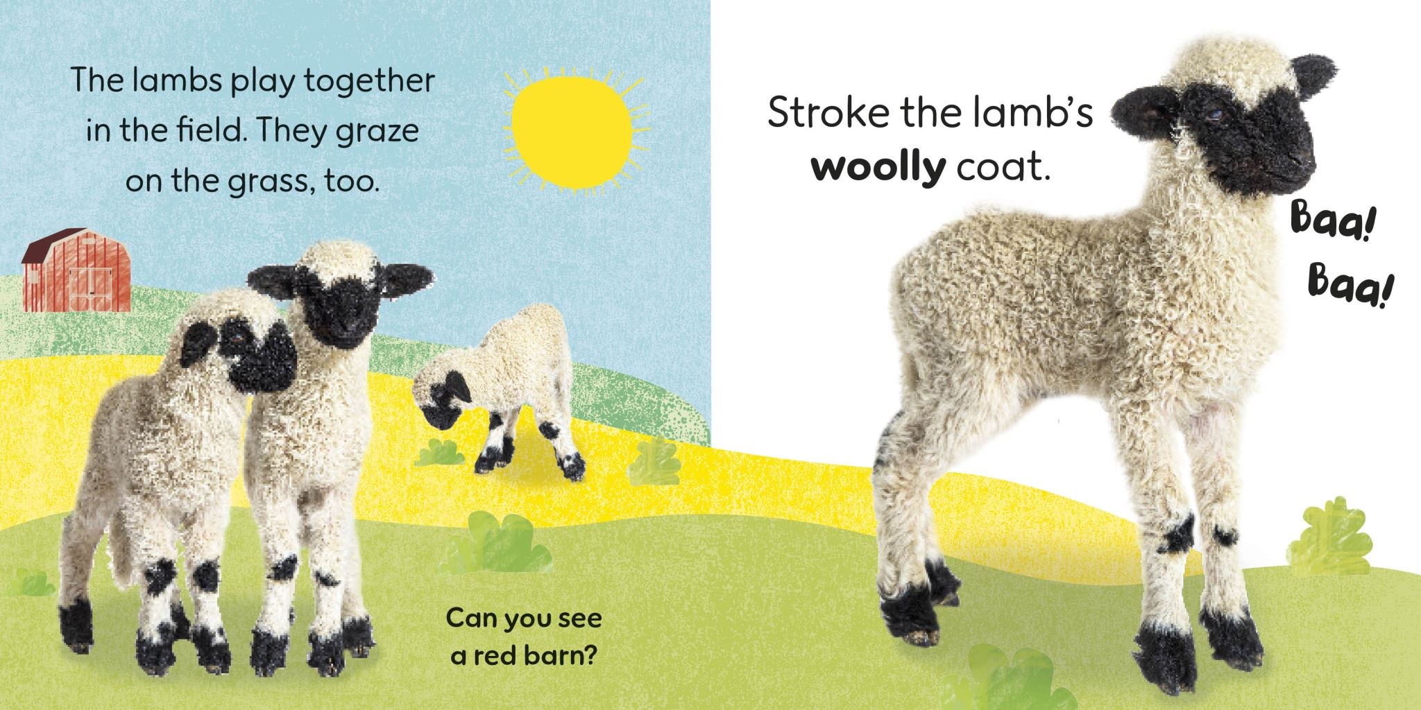 Touch and Feel Farm