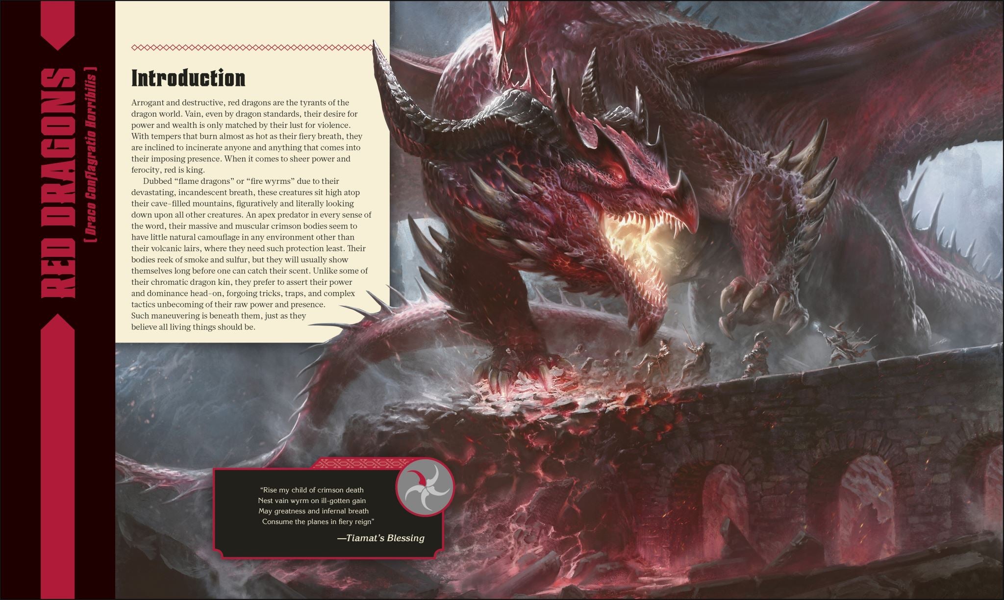 Dungeons & Dragons The Book of Dragons
