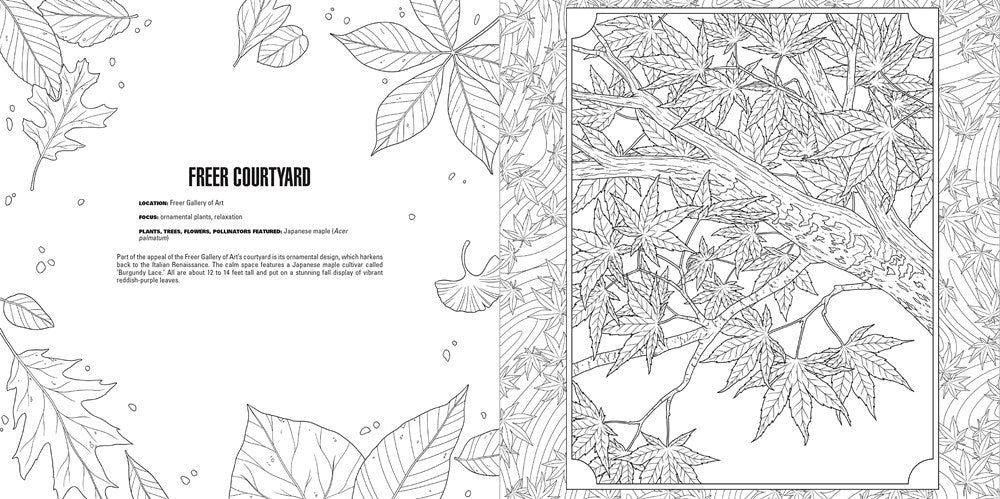 Gardens: A Smithsonian Coloring Book