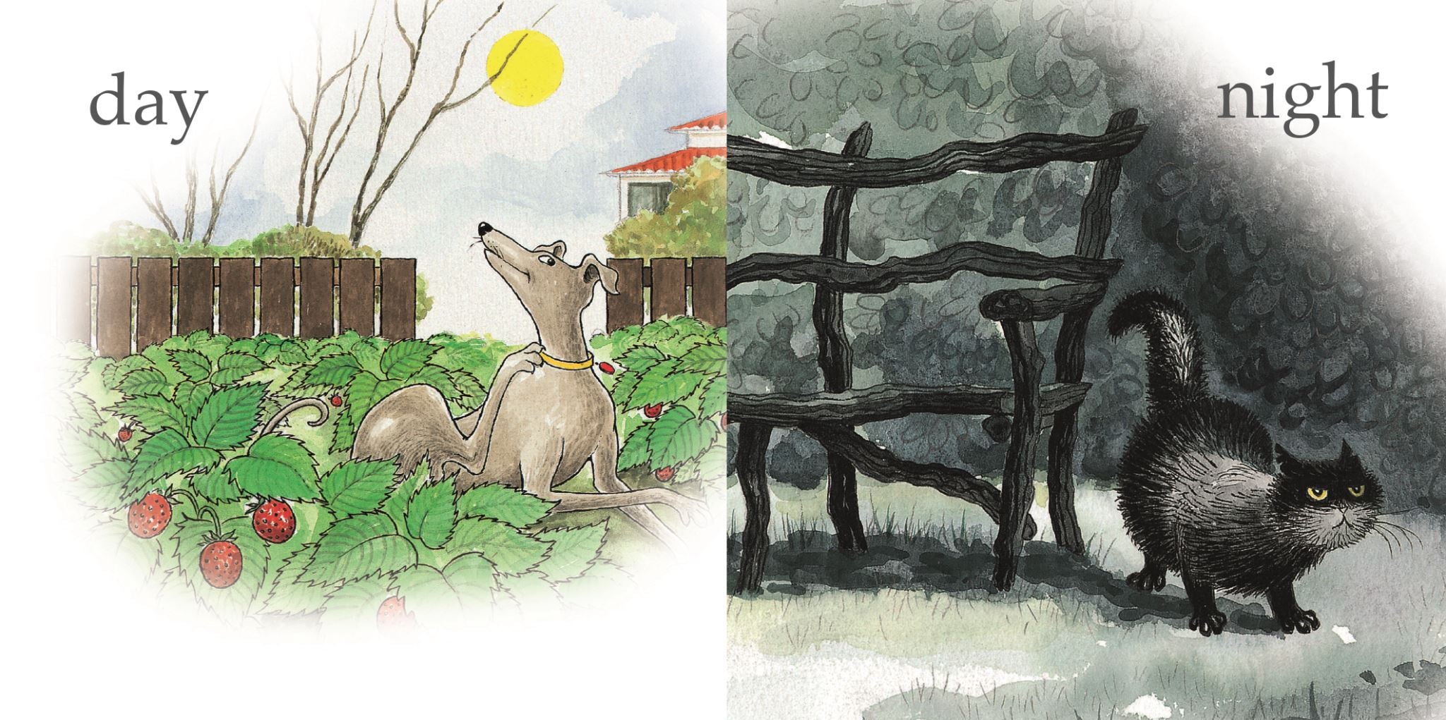 Hairy Maclary and Friends: Little Learning Library