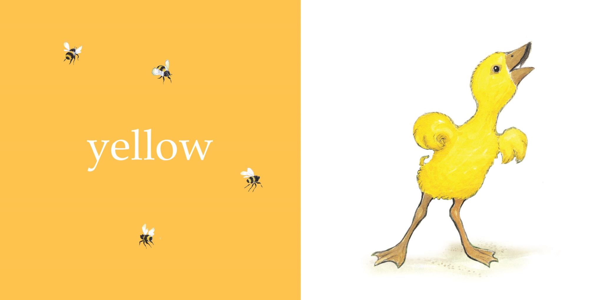 Hairy Maclary and Friends: Little Learning Library