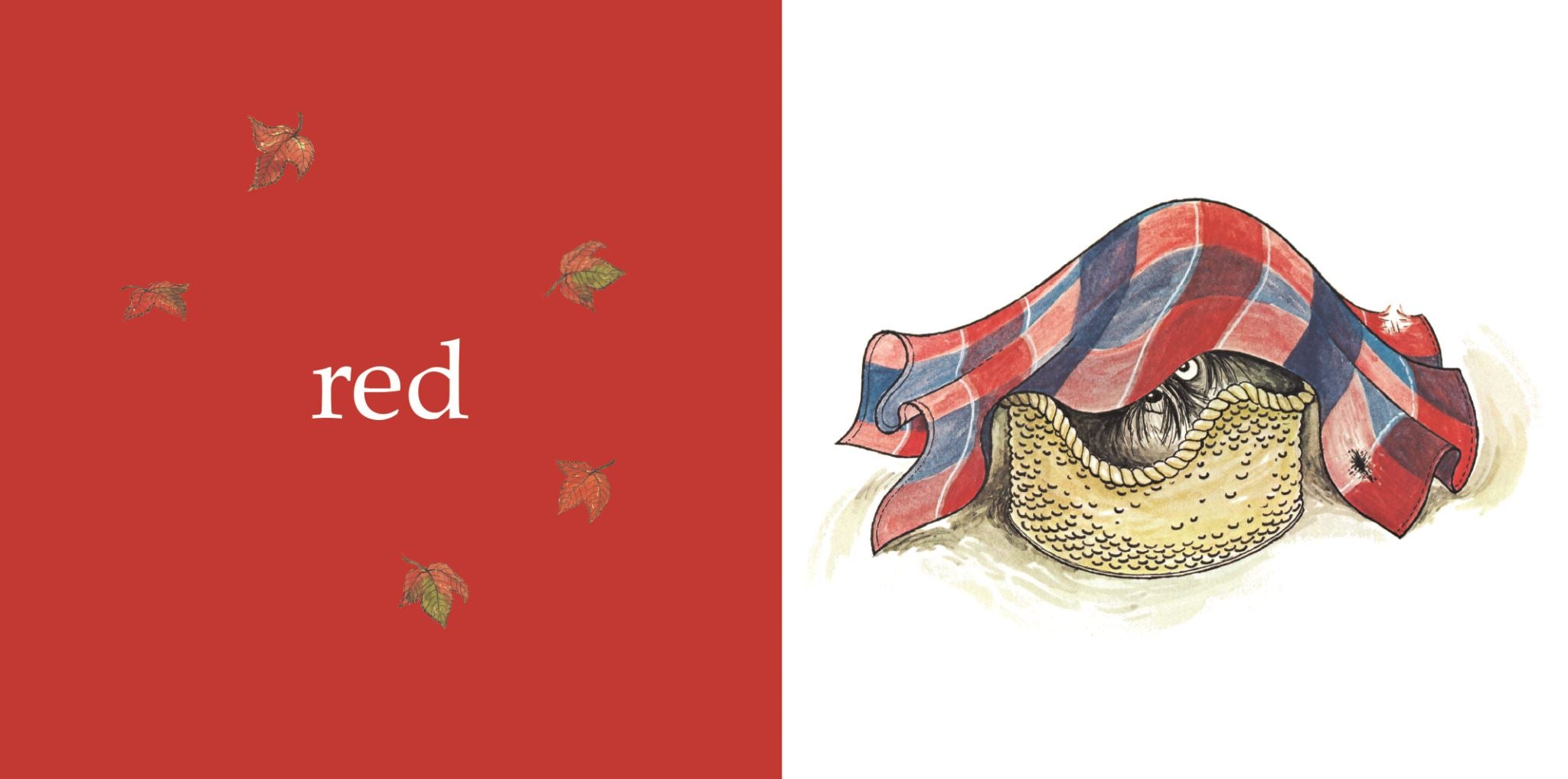 Hairy Maclary and Friends: Little Learning Library