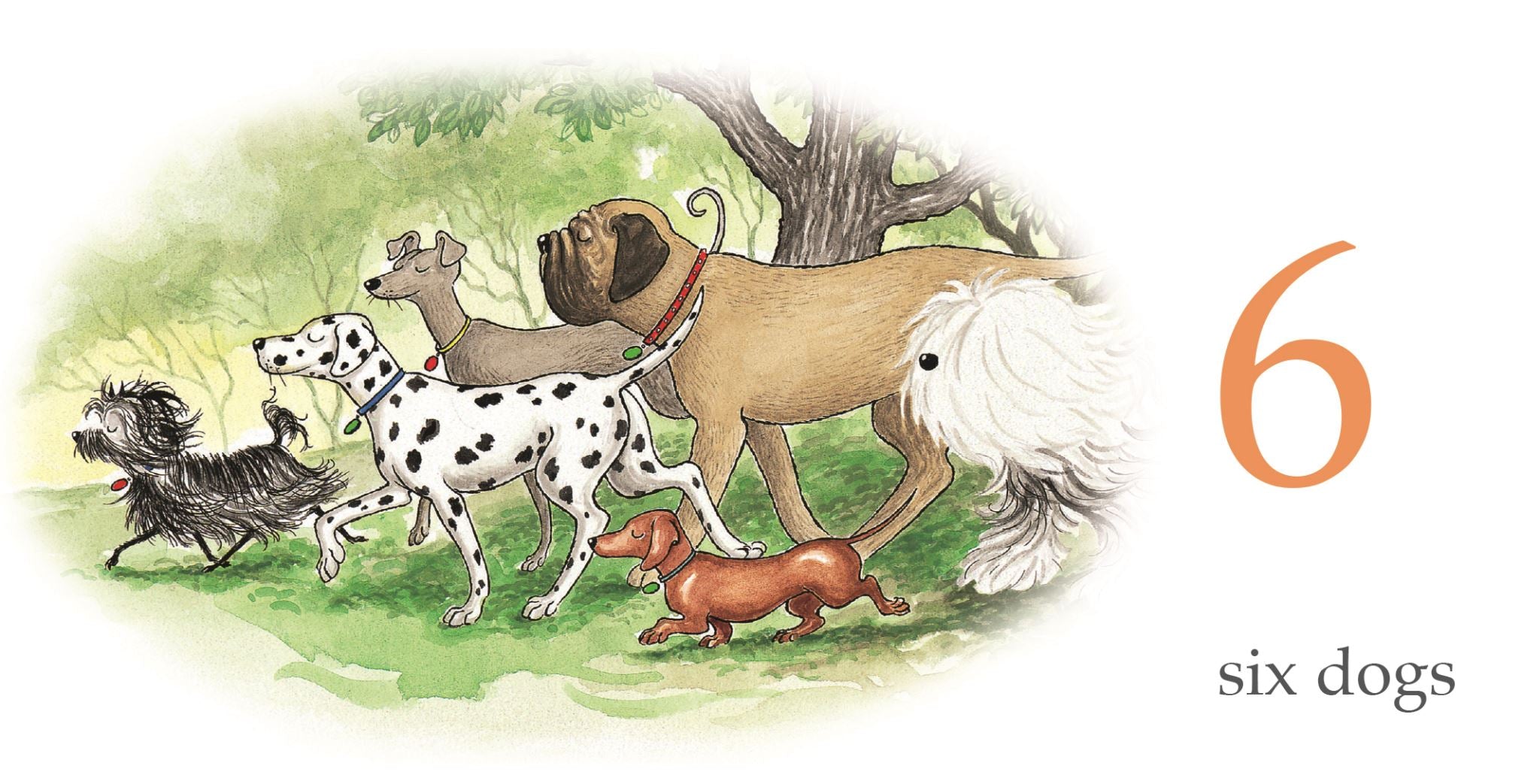 Hairy Maclary and Friends: Little Learning Library