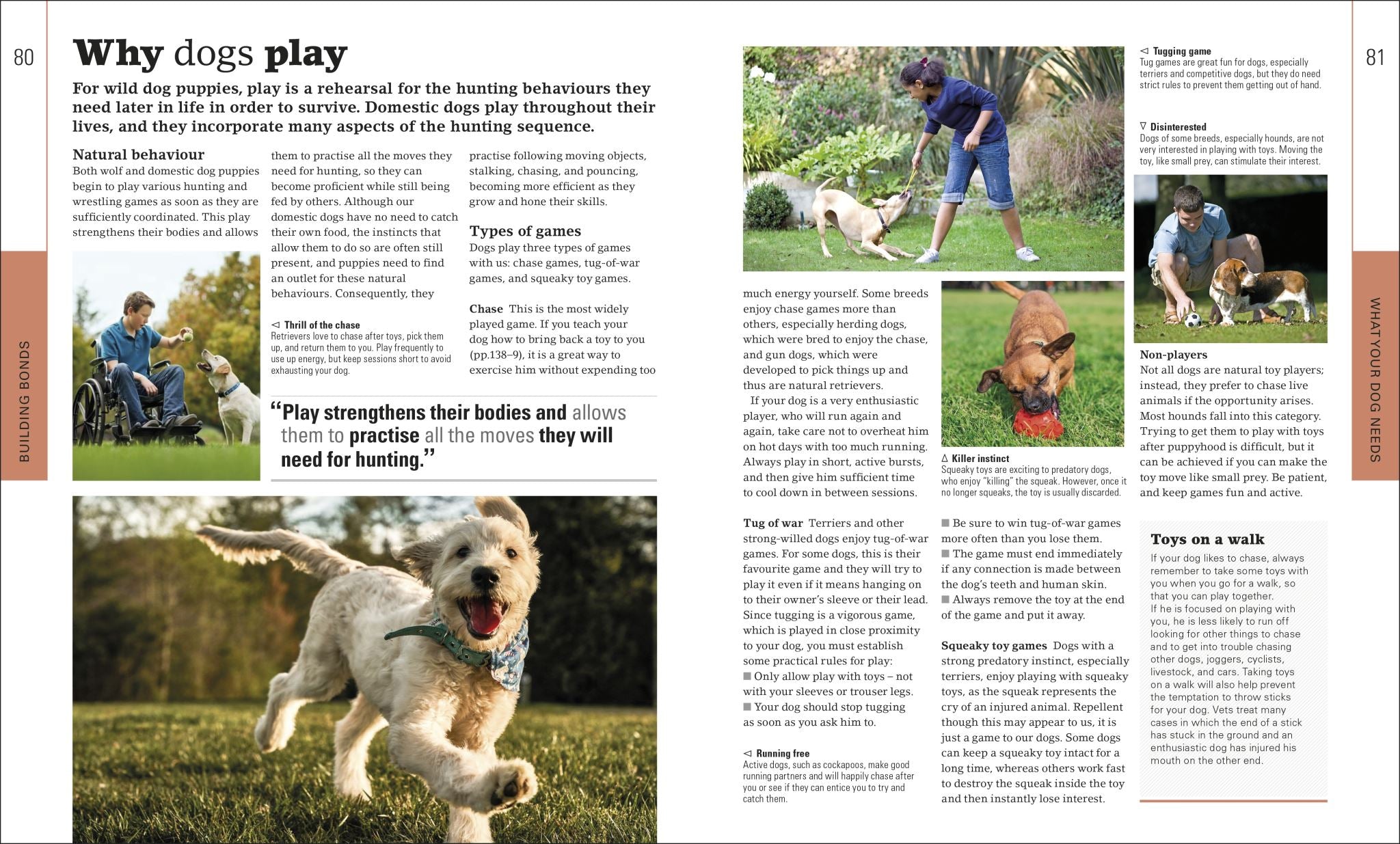 The Beginner's Dog Training Guide