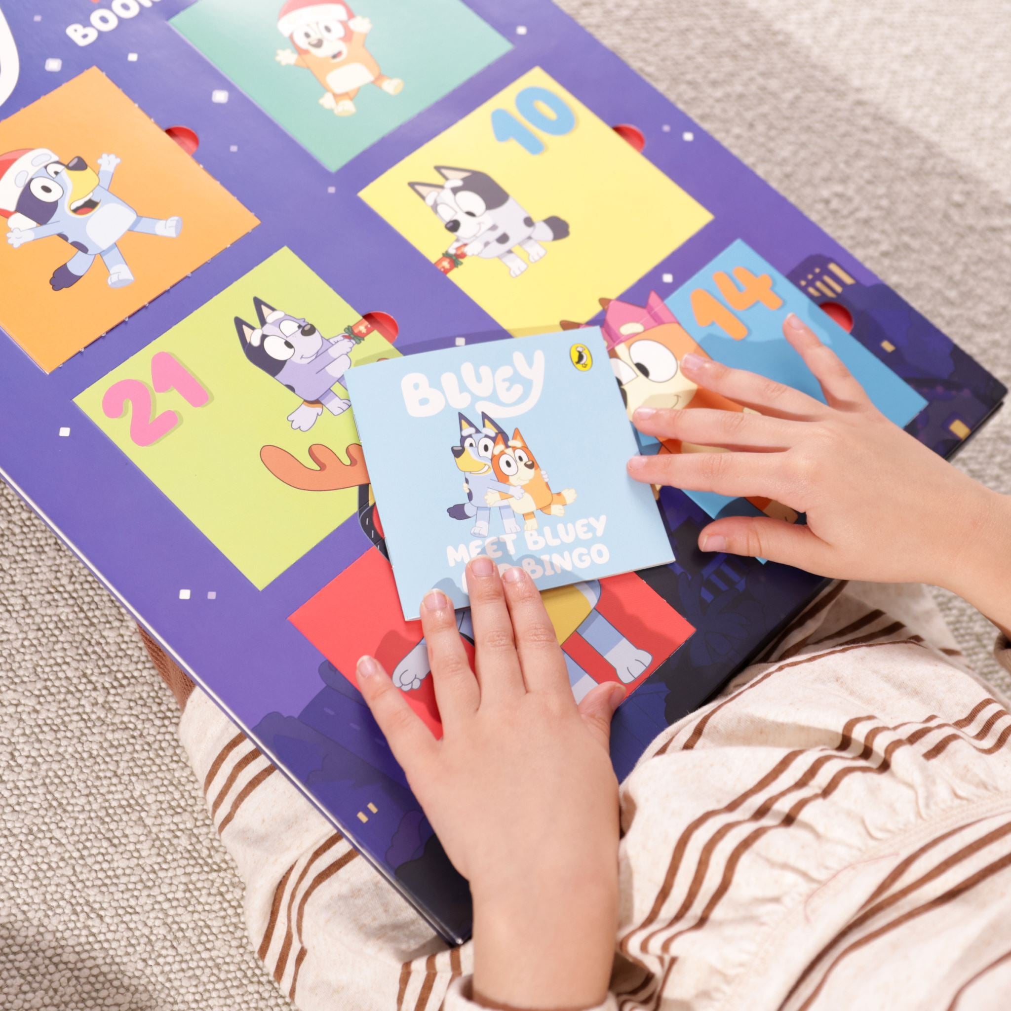 Bluey Advent Calendar Book Collection