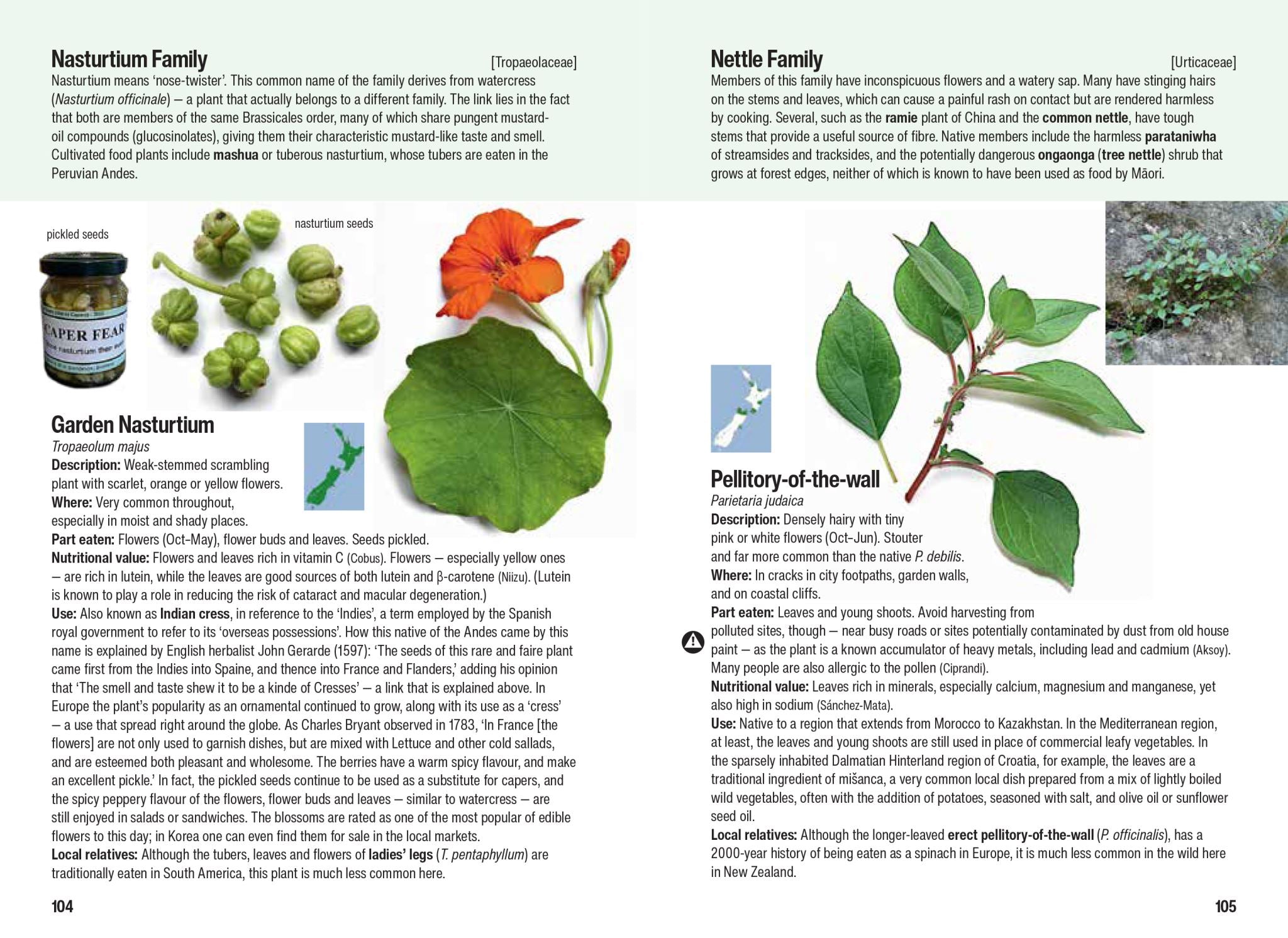 Edible Weeds Handbook