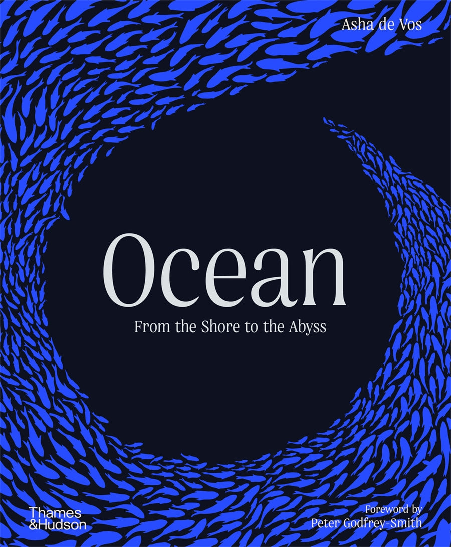 Ocean
