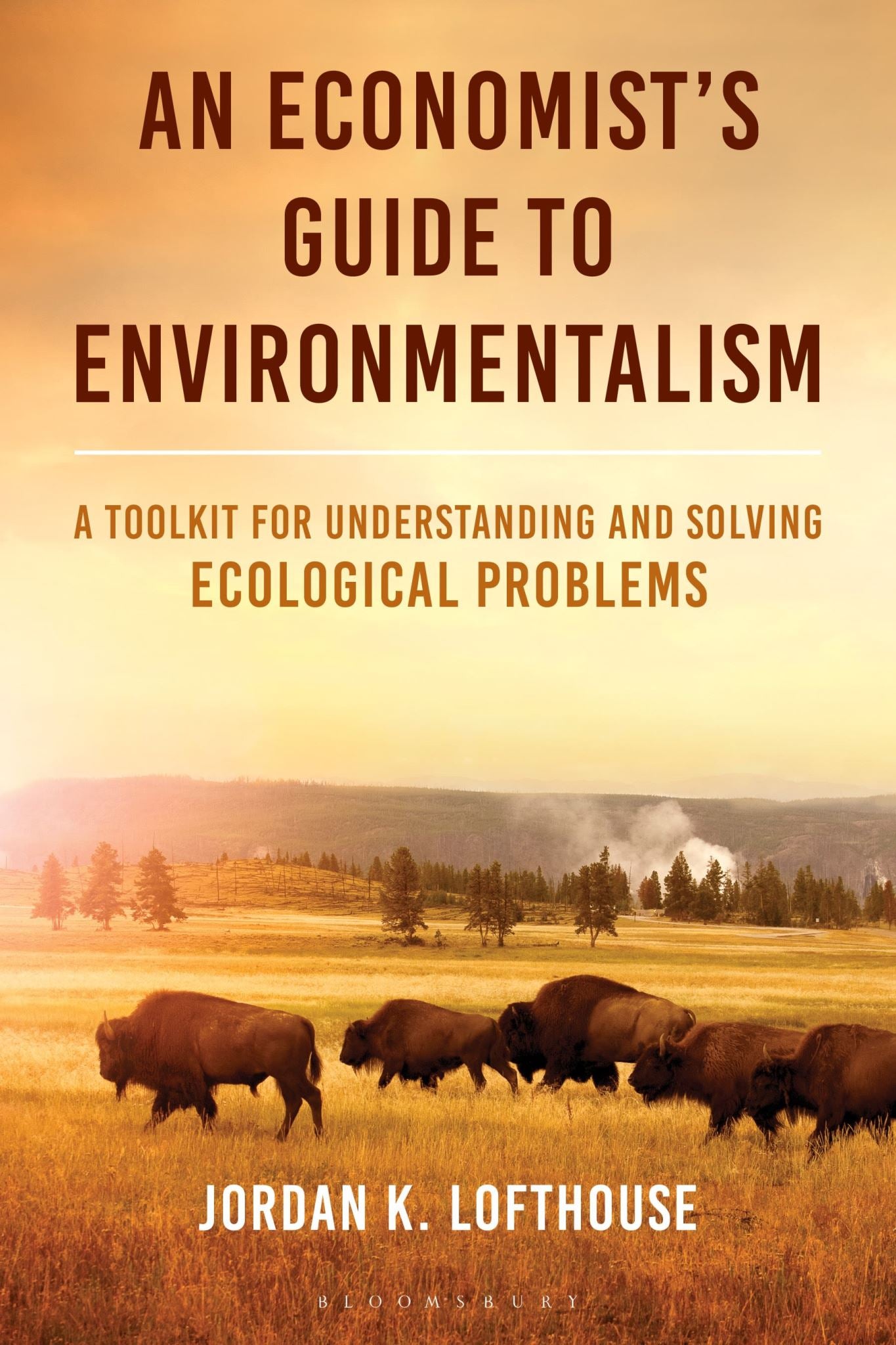 An Economist's Guide to Environmentalism: A Toolkit for Understanding and Solvin