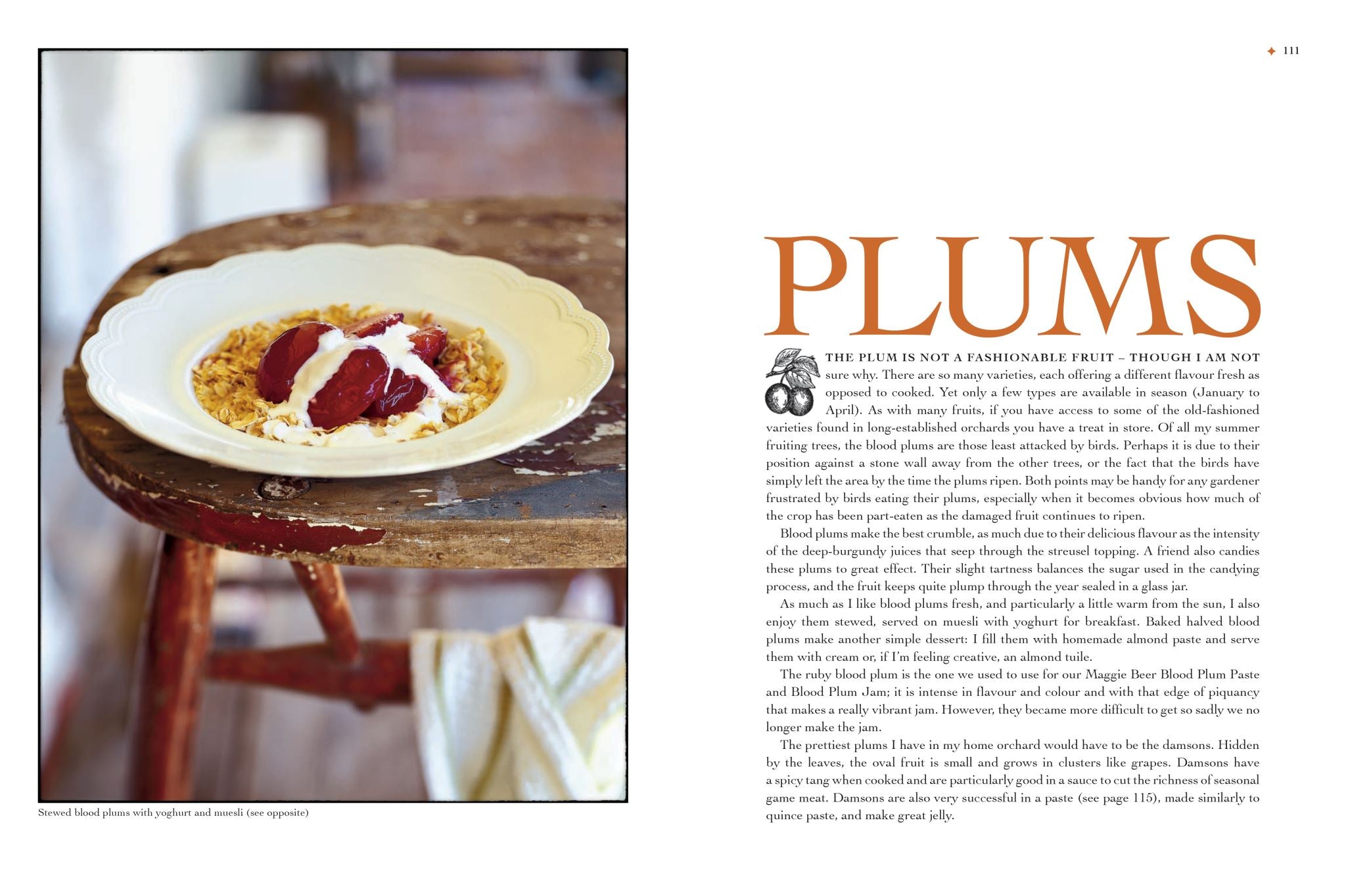 Maggie Beer's Summer Harvest Recipes