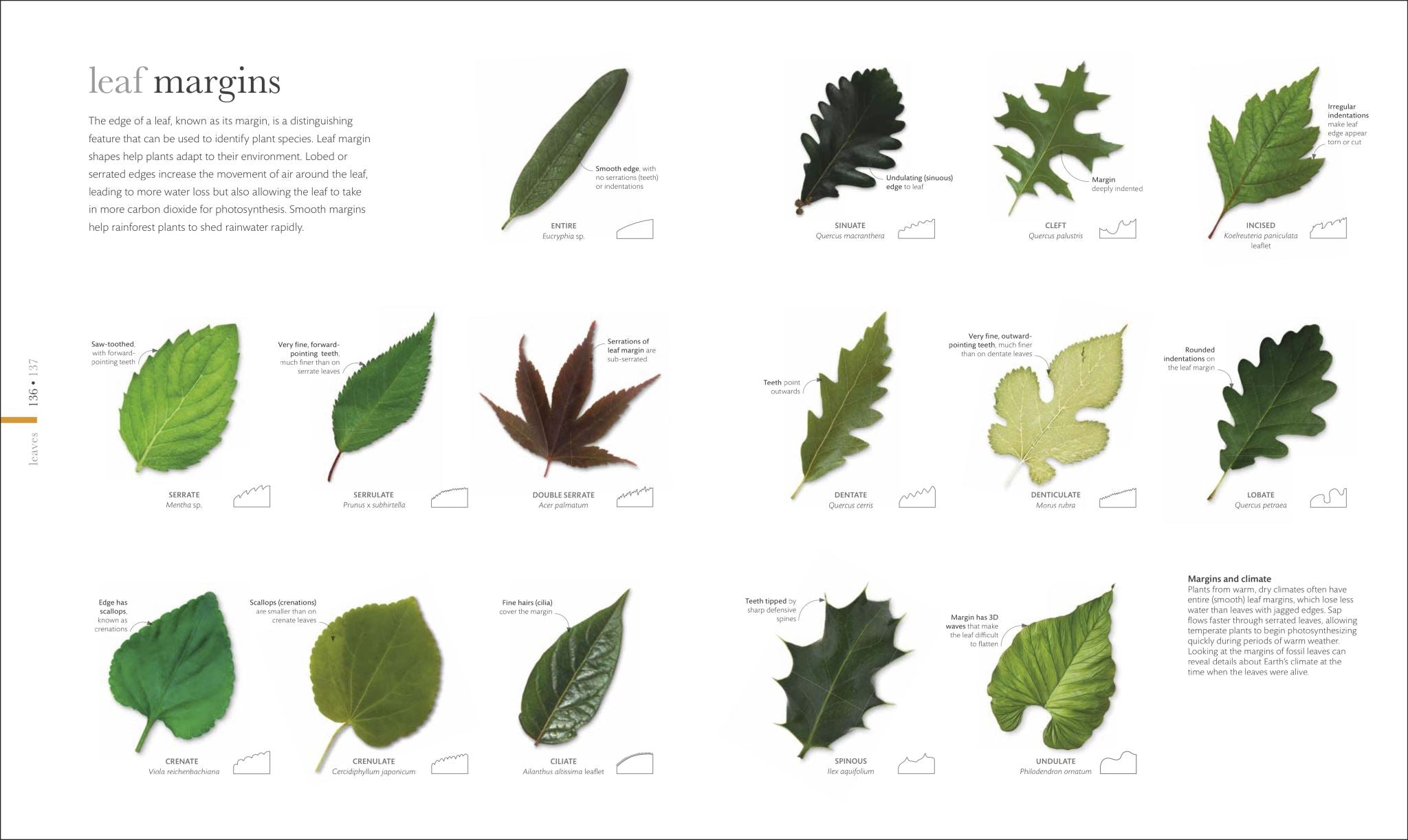The Science of Plants