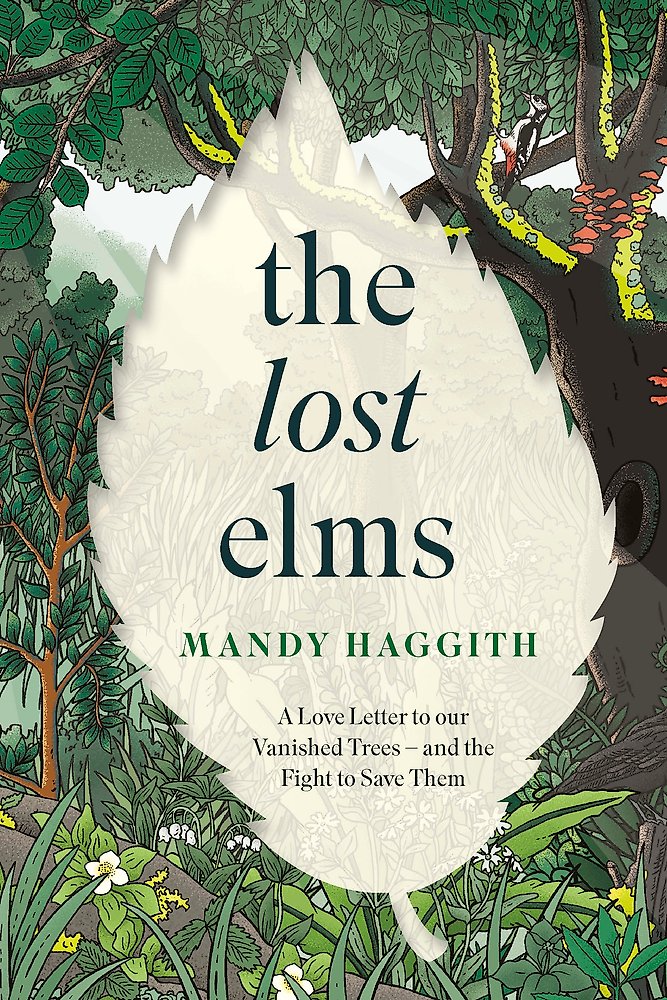 The Lost Elms: A Love Letter to Our Vanished Trees and the Fight to Save Them