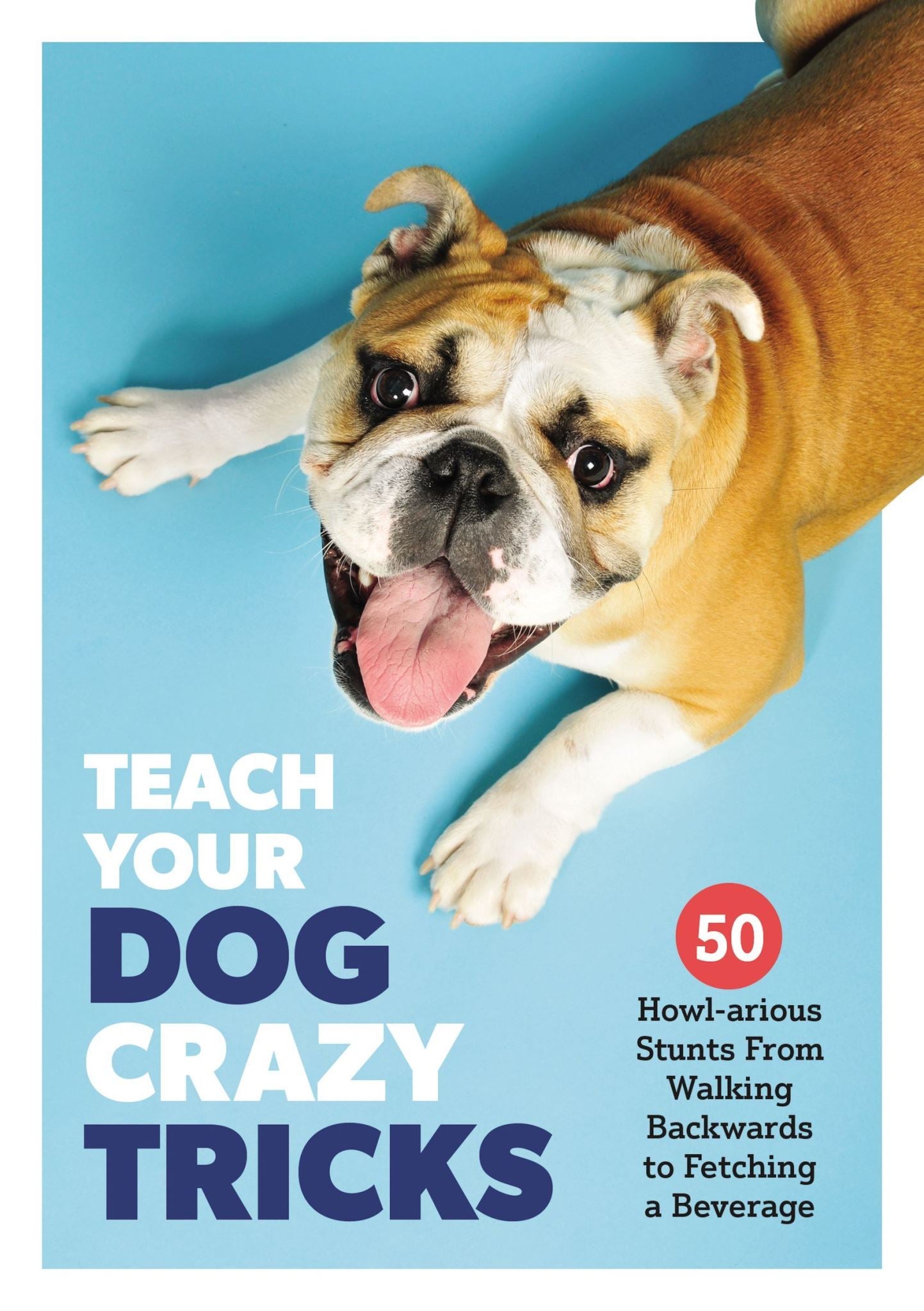 Teach Your Dog Crazy Tricks