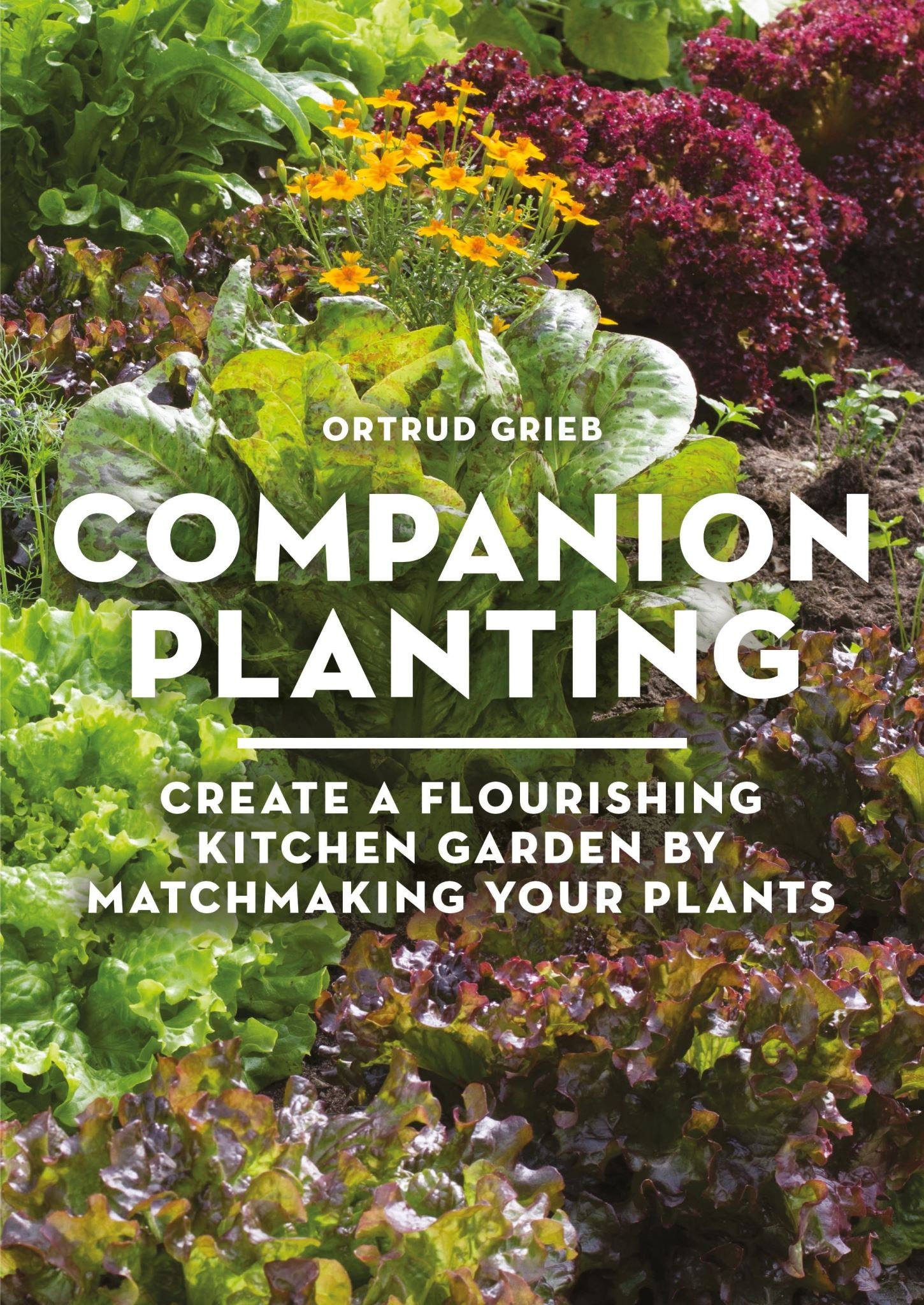 Companion Planting: Create a Flourishing Kitchen Garden By Matchmaking Your Plan