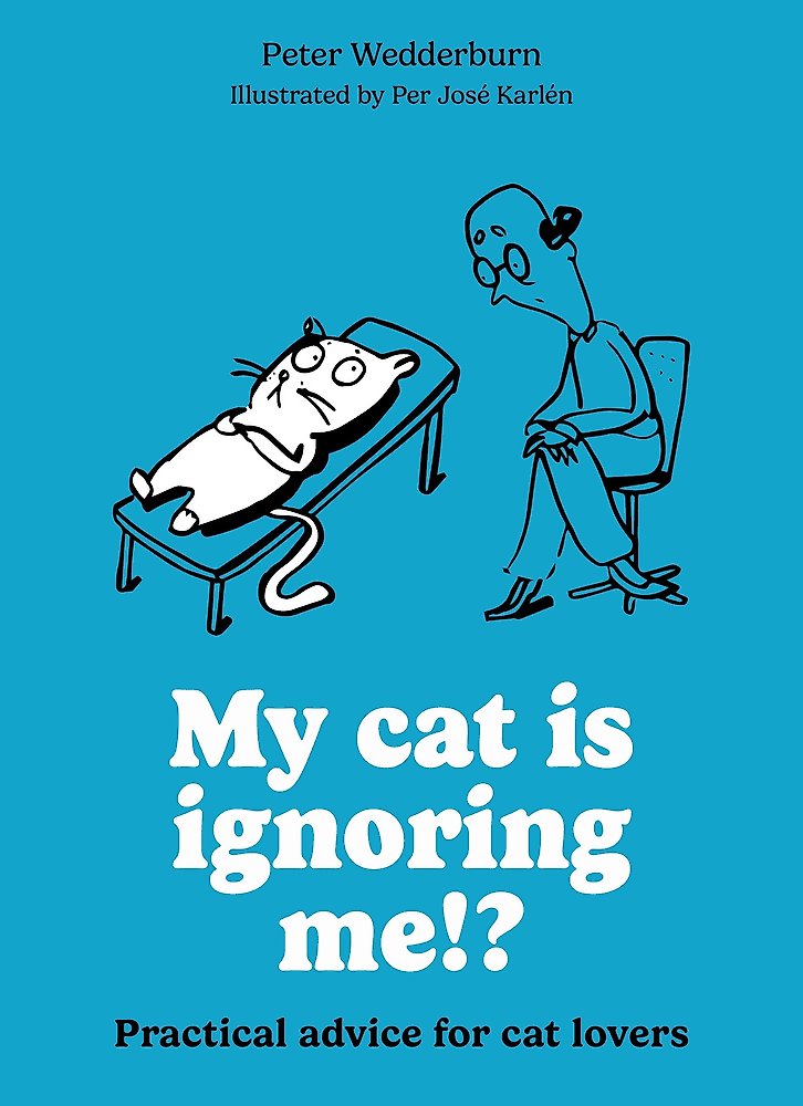 My Cat is Ignoring Me!