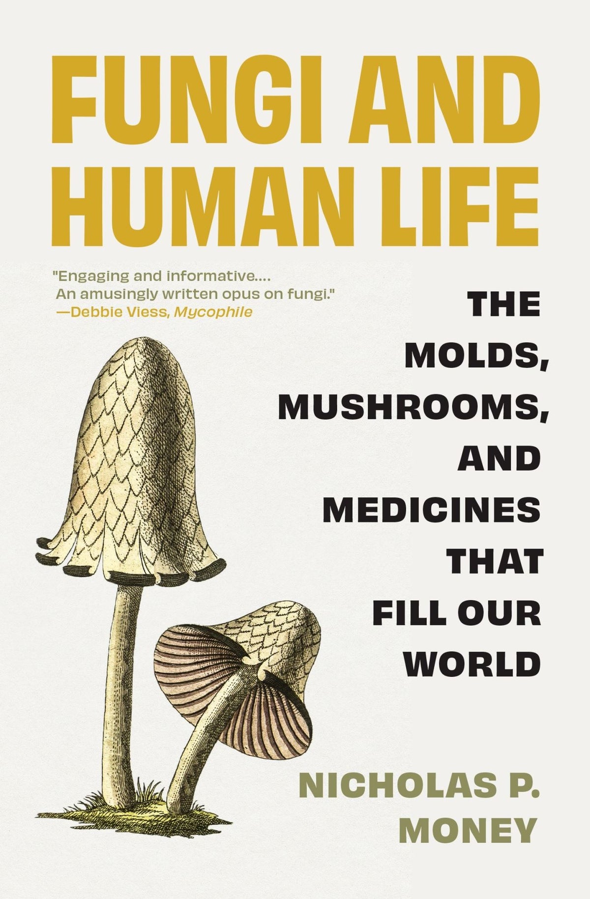 Fungi and Human Life