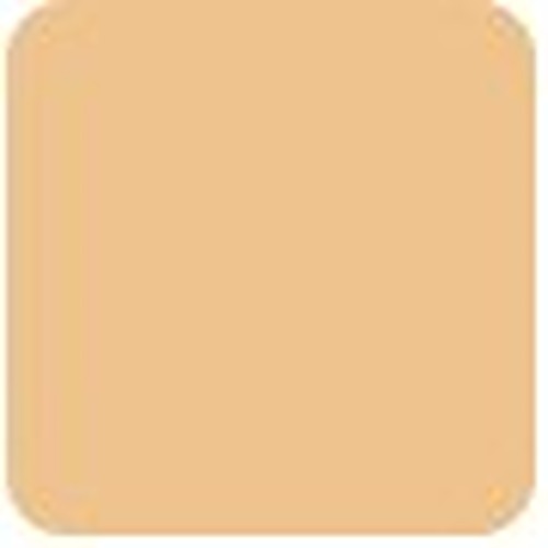 Bobbi Brown Skin Foundation Stick - #2.5 Warm Sand 9g/0.31oz