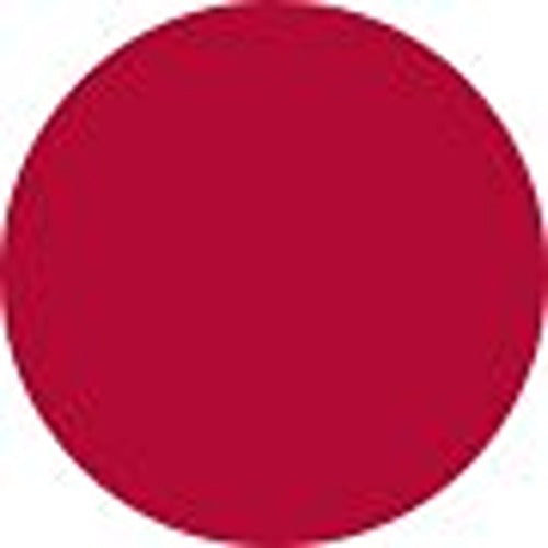 Chanel Rouge Coco Bloom Hydrating Plumping Intense Shine Lip Colour - # 120 Fres