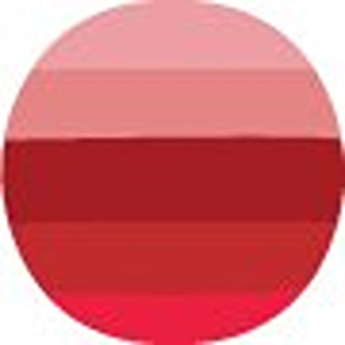 Pupa Squirrel 1 Lip Kit - # 004 5.5g/0.19oz