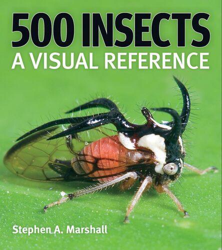 500 Insects - Nature Book - by Stephen A. Marshall - Paperback
