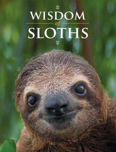 Wisdom of Sloths - by Lisa Purcell - Hardcover