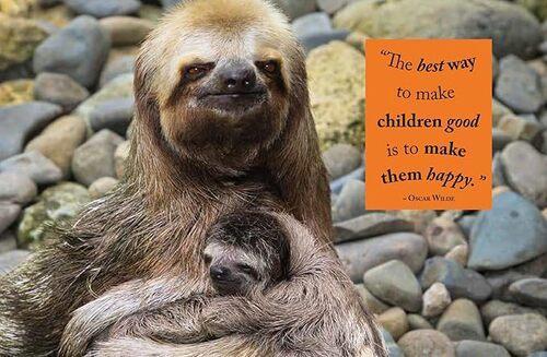 Wisdom of Sloths - by Lisa Purcell - Hardcover
