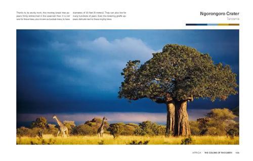 The Colours of the Earth - by Anke Benstem - Hardcover