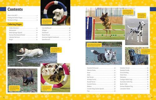 AKC Ultimate Dog Coloring Book - by The American Kennel Club - Paperback