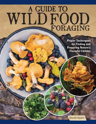 A Guide to Wild Food Foraging - by David Squire - Paperback