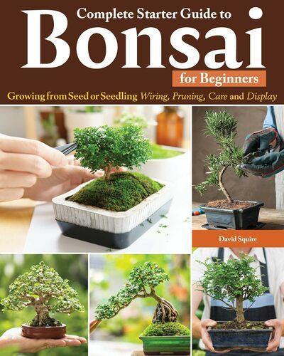 Complete Starter Guide to Bonsai - by David Squire - Paperback