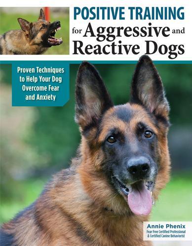 Positive Training for Aggressive and Reactive Dogs - by Annie Phenix - Paperback