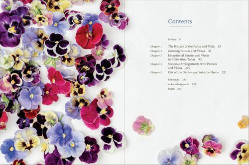 Pansies - by Brenna Estrada - Hardcover