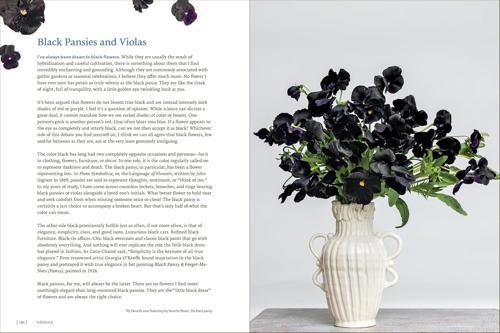 Pansies - by Brenna Estrada - Hardcover