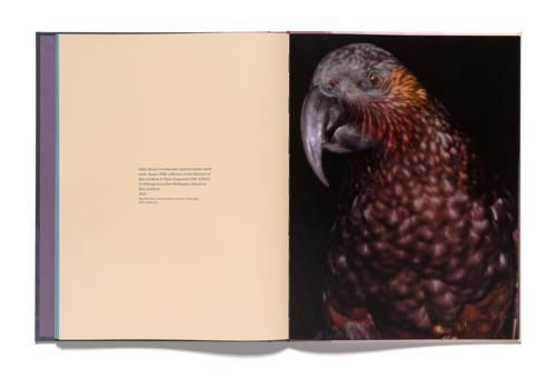 Fiona Pardington Taharaki Skyside - by Fiona Pardington - Hardcover