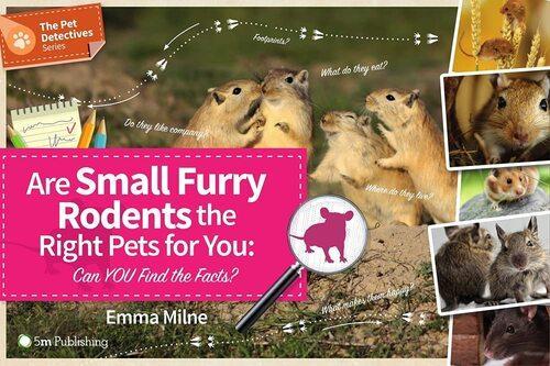 Are Small Furry Rodents the Right Pets For You - by Emma Milne - Paperback