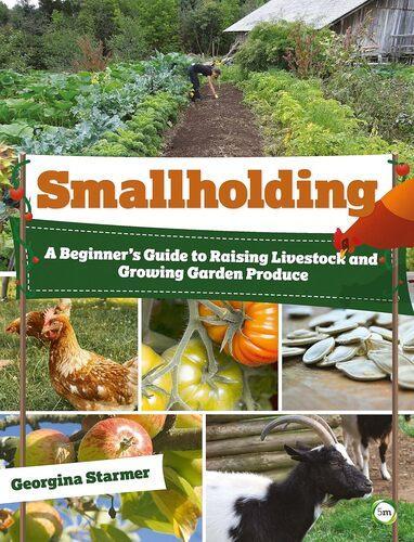 Smallholding: A Beginners Guide - by Georgina Starmer - Paperback
